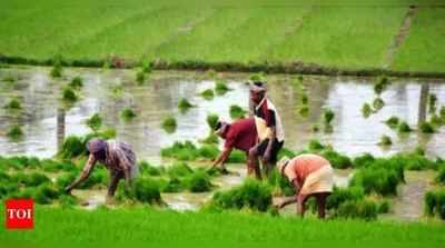 Budget for Farmers:കാര്‍ഷിക മേഖലയ്ക്ക് ബജറ്റിൽ വൻ പ്രഖ്യാപനവുമായി ധനമന്ത്രി