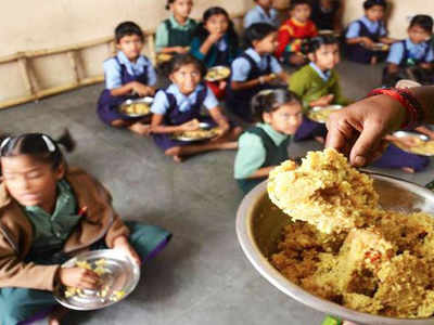 খিচুড়িতে আস্ত সাপ! তাই খেল ৮০ স্কুলপড়ুয়া