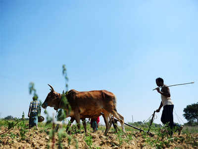 Agriculture Budget 2019: ರೈತ ಮತ್ತು ಕೃಷಿ ಕ್ಷೇತ್ರಕ್ಕೆ ಬಜೆಟ್ ಬಂಪರ್