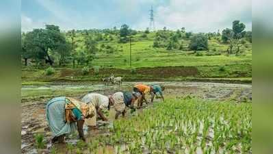 2019 Budget for Farmers: రైతులకు కేంద్రం నగదు బదిలీ పథకం