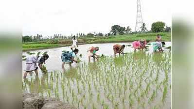 மத்திய, மாநில அரசுகளின் இரண்டு திட்டங்களிலும் பயனடையும் தெலங்கானா விவசாயிகள்