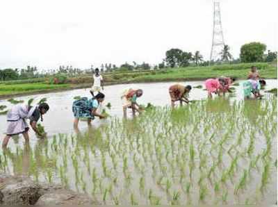 மத்திய, மாநில அரசுகளின் இரண்டு திட்டங்களிலும் பயனடையும் தெலங்கானா விவசாயிகள்