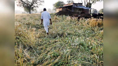 मध्य प्रदेश: बिना कर्ज लिए कर्जमाफी लिस्ट में नाम, किसानों ने दी सामूहिक आत्महत्या की धमकी