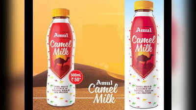 डायबीटीज के मरीजों के लिए वरदान है Camel milk