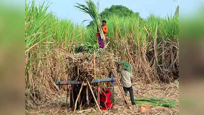 बिजनौर में गन्ना किसानों पर लाठीचार्ज, आंदोलन की चेतावनी
