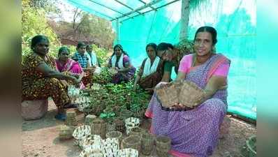 ಬೀಜ ಬಿತ್ತಲು ಇನ್ನು ಅಡಕೆ ಹಾಳೆಗಳ ಗ್ರೋ ಬ್ಯಾಗ್‌ !