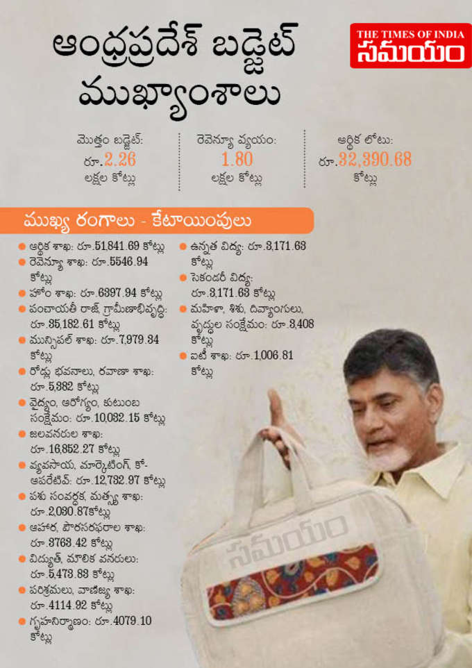 AP-Budget-Allocation