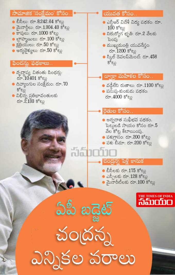 AP-Budget-1