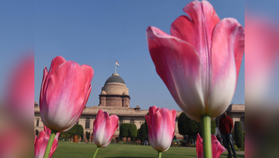 आज से खुल गया है Mughal Garden, ऐसे बुकिंग करें और इस तरह पहुंचें