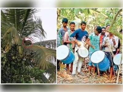 చిక్కని చిరుత ఆచూకీ.. ఆందోళనలో ప్రజలు