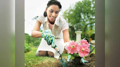 आज है Rose Day, Floriculture इंडस्‍ट्री में करियर बनाकर खुद को दें गिफ्ट