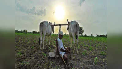 पंजाब, हरियाणा में कई परिवारों को नहीं मिलेगा PM किसान योजना का लाभ