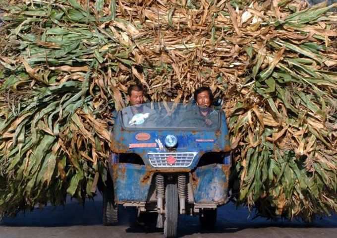 அடேங்காப்பா..! உலகத்துல இருக்குற அதிபுத்திசாலிங்க எல்லாம் இங்க தான் இருக்காங்க போல