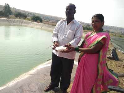 ಬರಡು ನೆಲದಲ್ಲಿ ಹೊನ್ನು