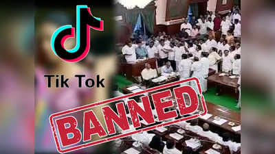 Tik Tok Ban in TN:  தமிழகத்தில் டிக்டாக் செயலிக்கு தடையா? சட்டசபையில் நடந்த சூடான விவாதம்