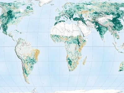ಭೂಮಿಯನ್ನು ಮತ್ತೆ ಹಸಿರಾಗಿಸಲು ಭಾರತ ಮತ್ತು ಚೀನಾದ ಕೊಡುಗೆಯೇ ಹೆಚ್ಚು: ನಾಸಾ