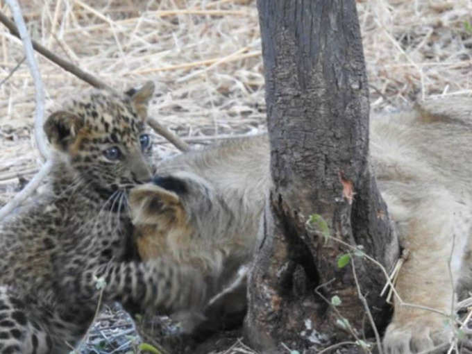 बीमारी से हुई प्राकृतिक मौत