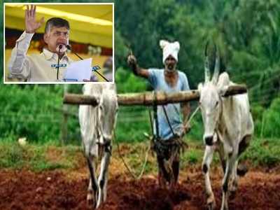 Chandrababu: ఏపీ రైతులకు వరం.. పెట్టుబడి సాయంగా రూ.15 వేలు