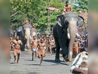 ഗുരുവായൂരിൽ ആനയോട്ടം; പങ്കെടുക്കുന്നത് 24 ആനകള്‍