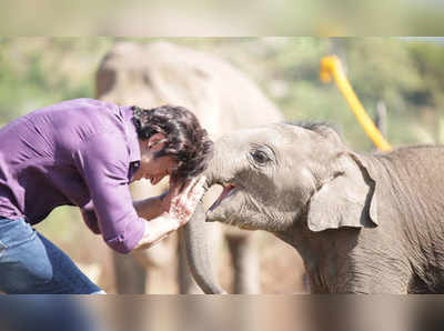 vidyut jammwal: विद्युत जामवालच्या स्पेशल फ्रेन्डची  रंगली चर्चा