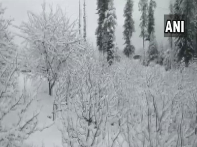 शिमला में ताजा बर्फबारी, कई इलाकों में तापमान गिरा