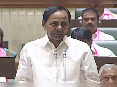 Telangana Budget Highlights: హైదరాబాద్‌లో బస్తీ దవాఖానాలు.. 10వేల మందికి ఒకటి