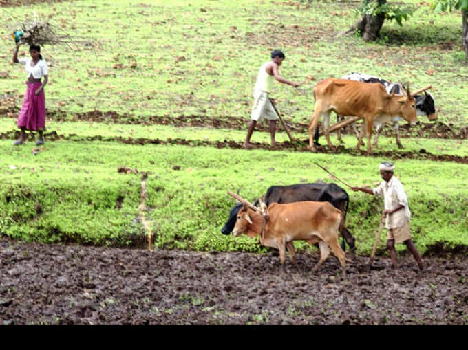 डॉक्टर, इंजिनियर को भी नहीं ले पाएंगे फायदा