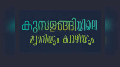 കുമ്പളങ്ങിയിലെ മ്യാറിയും ക്വാഴിയും