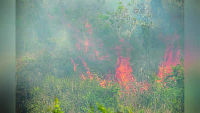 ಬಂಡೀಪುರ: ನಿಯಂತ್ರಣಕ್ಕೆ ಸಿಗದ ಬೆಂಕಿ