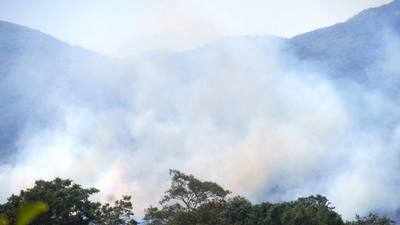 ಕಾಫಿ ತೋಟಕ್ಕೆ ಬೆಂಕಿ: ನಾಲ್ಕೈದು ಎಕರೆ ಭಸ್ಮ