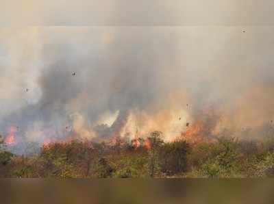 ಬಂಡೀಪುರ ಧಗಧಗ: ಸಂಘರ್ಷಕ್ಕೆ ಬಲಿಯಾಗುತ್ತಿದೆಯೇ ಅರಣ್ಯ?