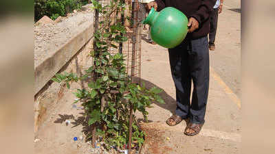 भारतीय मूल के छात्रों ने पौधों को पानी देने वाला स्वचालित उपकरण विकसित किया
