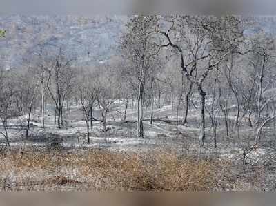 ಬಂಡೀಪುರ: ನಿಲ್ಲದ ಅಗ್ನಿ ನರ್ತನ