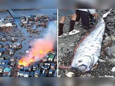 Oarfish: உலகம் அழியப்போகிறதா?... ஜப்பானில் பிடிபட்ட விசித்திர மீனால் மக்கள் பீதி