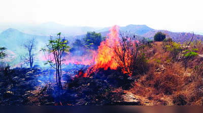 ಕರಿವರದರಾಯನಗುಡ್ಡಕ್ಕೆ ಮತ್ತೆ ಬೆಂಕಿ