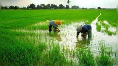 നെല്ലിൻെറ സംഭരണവില ഒരു രൂപ വര്‍ദ്ധിപ്പിച്ച് സംസ്ഥാന സർക്കാർ