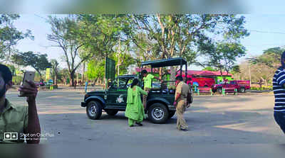 ಸಹಜ ಸ್ಥಿತಿಯತ್ತ ಬಂಡೀಪುರ: ಸಫಾರಿ ಶುರು