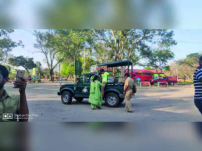 ಸಹಜ ಸ್ಥಿತಿಯತ್ತ ಬಂಡೀಪುರ: ಸಫಾರಿ ಶುರು