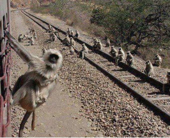 எல்லாருக்கும் பை.. பை..! நா ஊருக்கு போயிட்டு வாரேன்...!