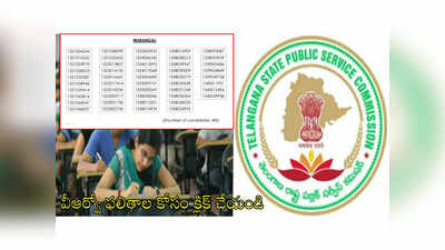 TSPSC VRO Shortlist: వీఆర్వో తుది ఫలితాలు వచ్చేశాయ్.. రిజల్ట్స్ కోసం క్లిక్ చేయండి