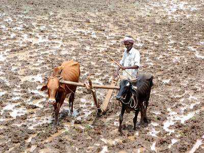 किसान कर्ज माफी: यूपी में बीजेपी को घेरने वाली कांग्रेस, राजस्थान में खुद घिरी