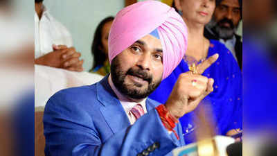 Navjot Singh Sidhu: झाडं पाडायला गेला होतात का?; एअर स्ट्राइकवर सिद्धू बोलले