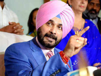 Navjot Singh Sidhu: झाडं पाडायला गेला होतात का?; एअर स्ट्राइकवर सिद्धू बोलले