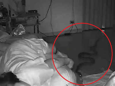 Snake Attack During Sleep: గాఢ నిద్రలో బామ్మగారు.. పక్కలో పాము, వీడియో వైరల్!