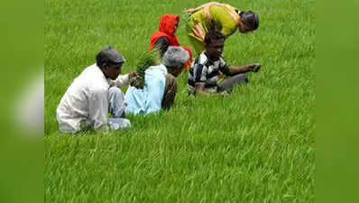 यूपी, आंध्र प्रदेश और गुजरात पीएम किसान योजना का फायदा लेने में सबसे आगे