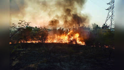 ಮೈಸೂರು: ಚಾಮುಂಡಿ ಬೆಟ್ಟಕ್ಕೆ ಬಿದ್ದ ಬೆಂಕಿ ತಹಬದಿಗೆ