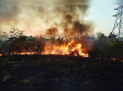 ಮೈಸೂರು: ಚಾಮುಂಡಿ ಬೆಟ್ಟಕ್ಕೆ ಬಿದ್ದ ಬೆಂಕಿ ತಹಬದಿಗೆ