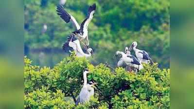 வேடந்தாங்கல் சரணாலயத்தை மூடுங்கள்-மக்கள் கோரிக்கை