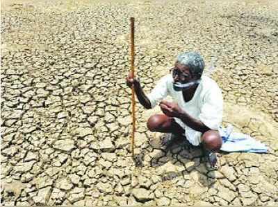 இந்தியாவில் அதிகரிக்கும் வறட்சி, கூறும் ஐஐடி விஞ்ஞானிகள்