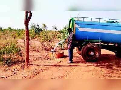 ಬೇಸಿಗೆ; ಪ್ರಾಣಿಗಳ ದಾಹ ನೀಗಿಸಲು ಅರಣ್ಯ ಇಲಾಖೆ ಹರಸಹಾಸ